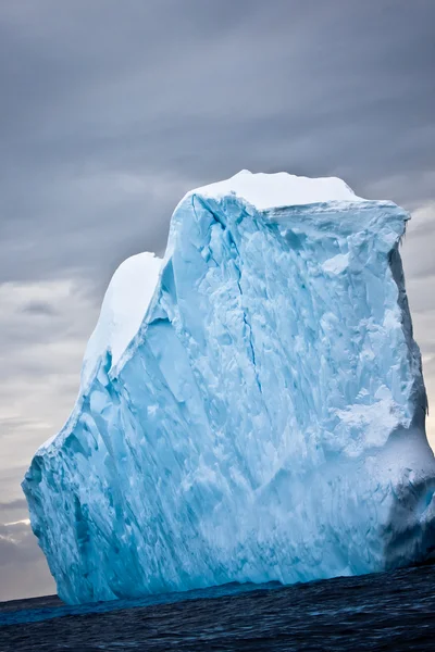 Антарктический ледник Стоковое Фото