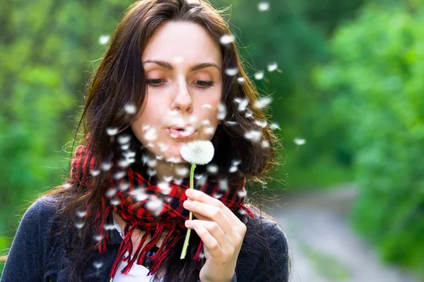 Girl blowing on dandelion — Stock Photo, Image