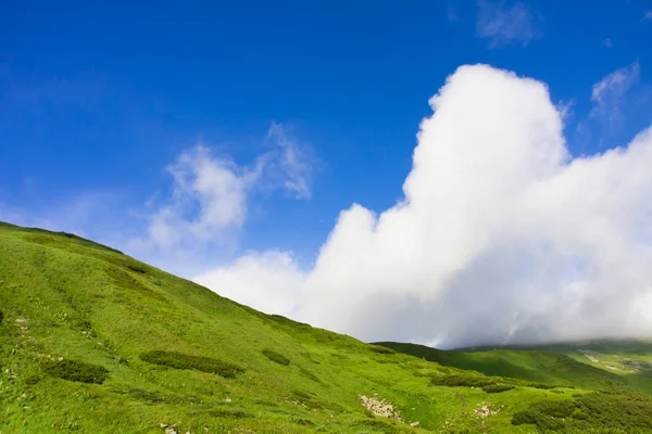 Grön äng och blå himmel — Stockfoto