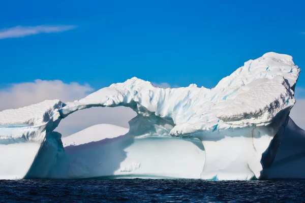 南極の氷河 — ストック写真