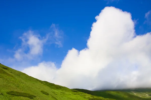 Πράσινο λιβάδι και μπλε ουρανός — Φωτογραφία Αρχείου