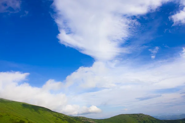 Зелений луг і блакитне небо — стокове фото