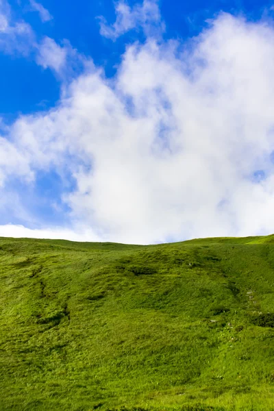 Prado verde e céu azul — Fotografia de Stock