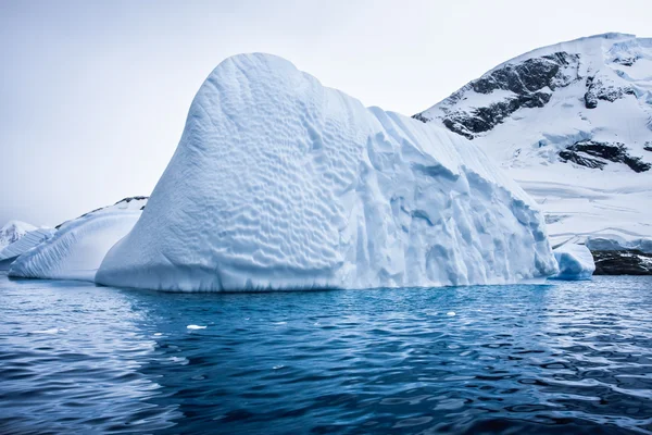 Glaciar Antártico —  Fotos de Stock