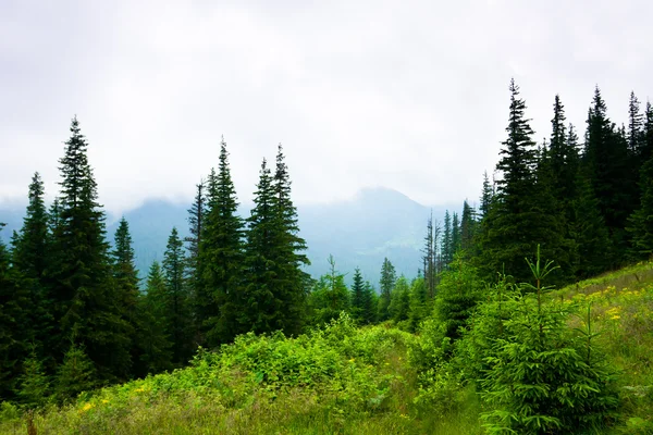 Krásná horská krajina — Stock fotografie