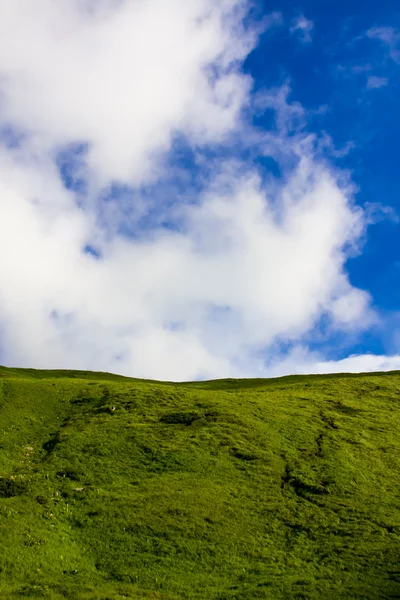 绿色的草地和蓝色的天空 — 图库照片