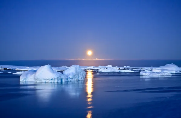 Zomeravond in antarctica — Stockfoto