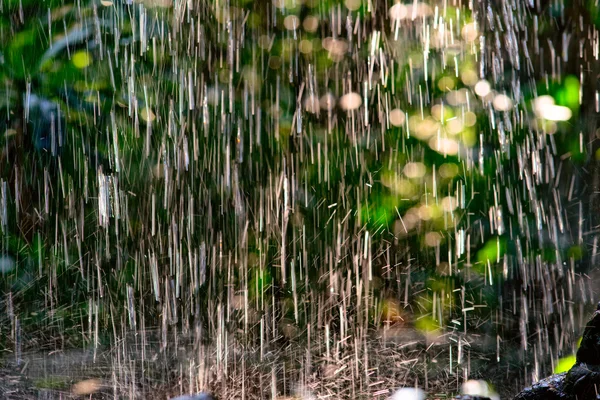 Caduta della pioggia — Foto Stock