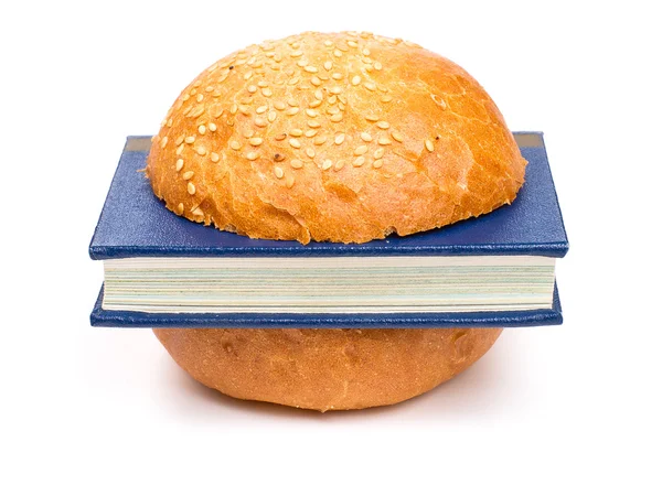 Book-Burger — Stockfoto