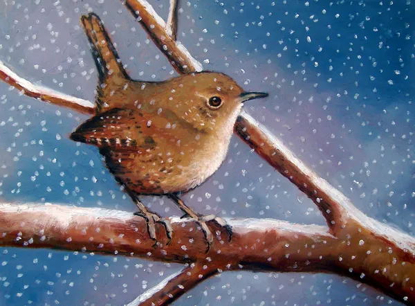 冬のミソサザイのパステル絵画 ロイヤリティフリーのストック画像