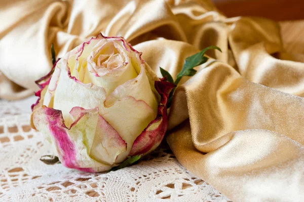 Gamla rose på en gammal manuell spetsar och handskar. — Stockfoto