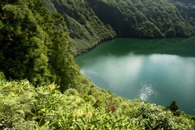 Azores lake in sao goncalo s miguel Adası