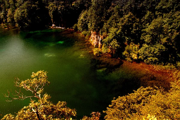 Lindo Lago Floresta Plitvice Croácia — Fotografia de Stock