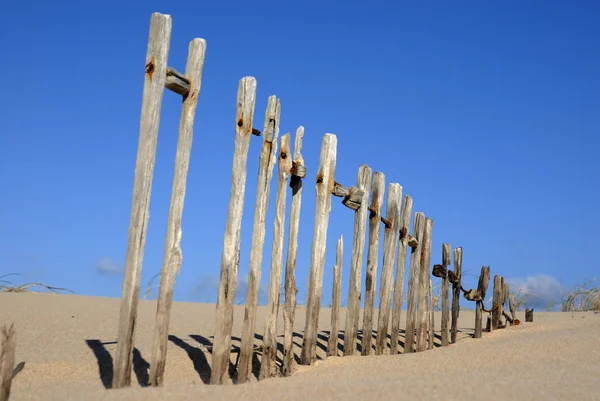 Wood Fence Dry Land South Portugal — Stock Photo, Image