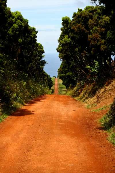 Большая Красная Дорога Острове Сан Хорхе Азорские Острова — стоковое фото