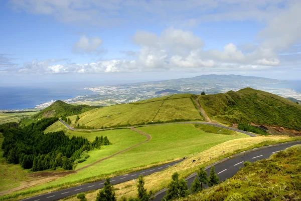 Estrada Paisagem Ilha Miguel Açores — Fotografia de Stock
