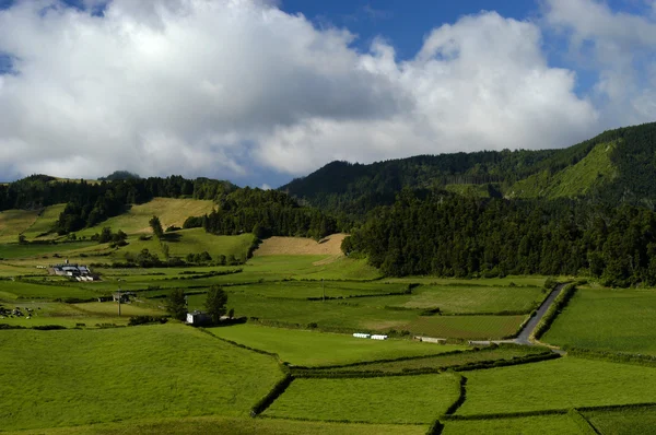 Campos Verdes Las Azores — Foto de Stock