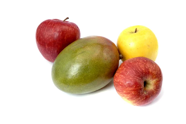 不同种类的果实 在白果上被隔离 — 图库照片
