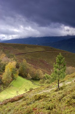 Sonbahar manzarası