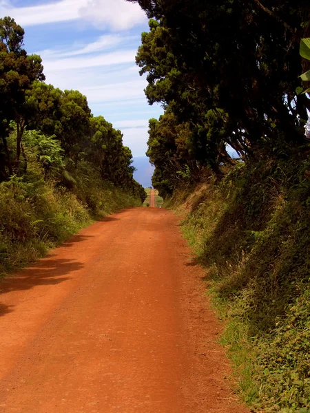 Grande Strada Rossa Nell Isola Sao Jorge Azzorre — Foto Stock