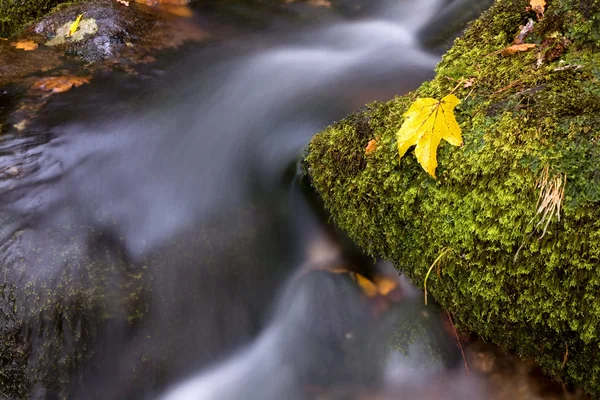 Pequeno Rio Parque Nacional Português — Fotografia de Stock