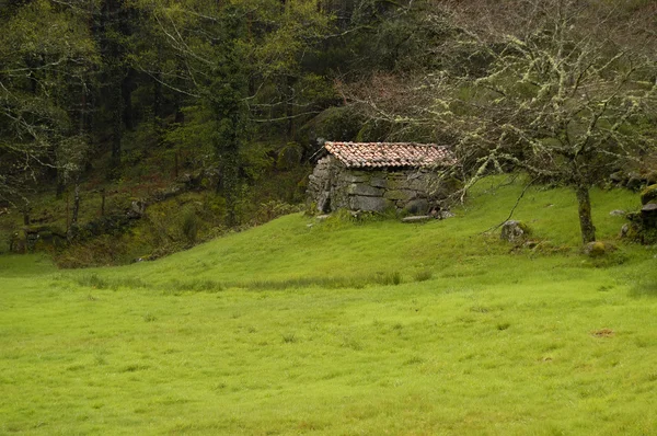 在顶部的葡萄牙国家公园中的小房子 — 图库照片