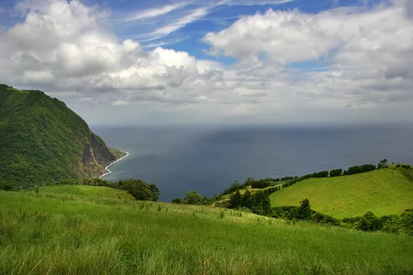 Açores Campos Costeiros Ilha São Miguel — Fotografia de Stock