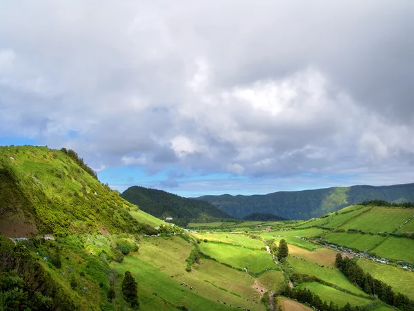 Azoren Grüne Felder Auf Der Insel São Miguel — Stockfoto