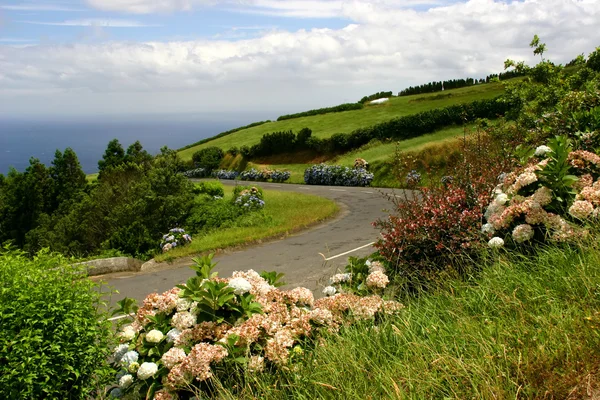 Azoren Kustlandschap Het Eiland Van Miguel — Stockfoto