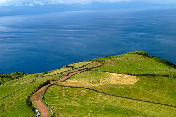 Pola Wybrzeżu Azory Wyspy Miguel — Zdjęcie stockowe
