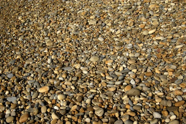 Kleine Natte Pebble Stenen Het Strand — Stockfoto