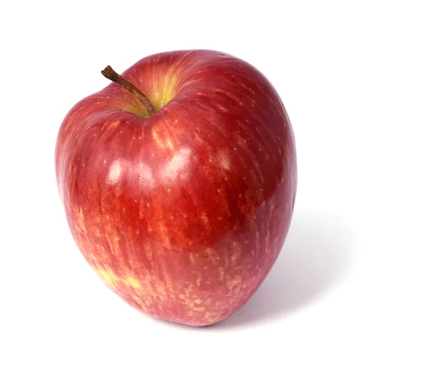 One Red Apple Isolated White Background — Stock Photo, Image