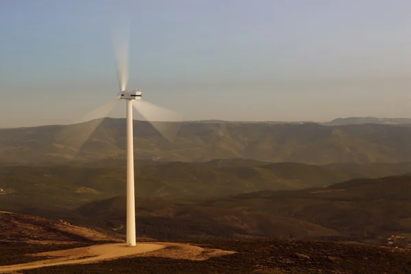 Stock image one eolic generator in a wind farm