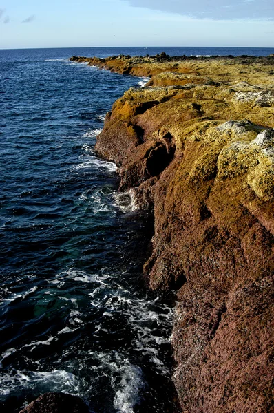 Klipporna Vid Kusten Med Havets Vågor — Stockfoto