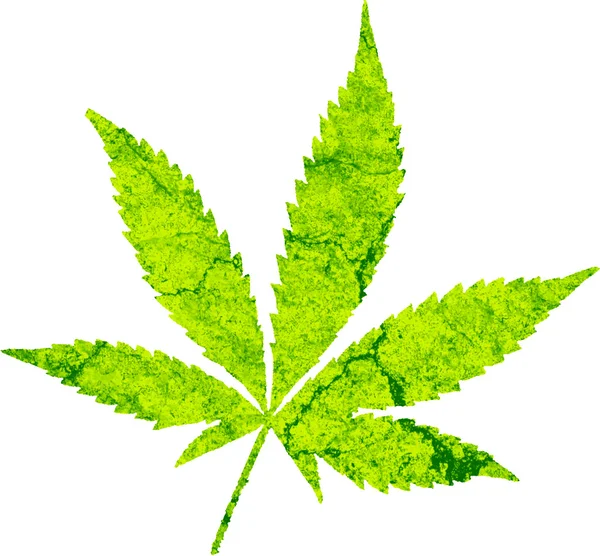 Cannabisblatt Illustration Digital Generierte Arbeit Computer — Stockfoto