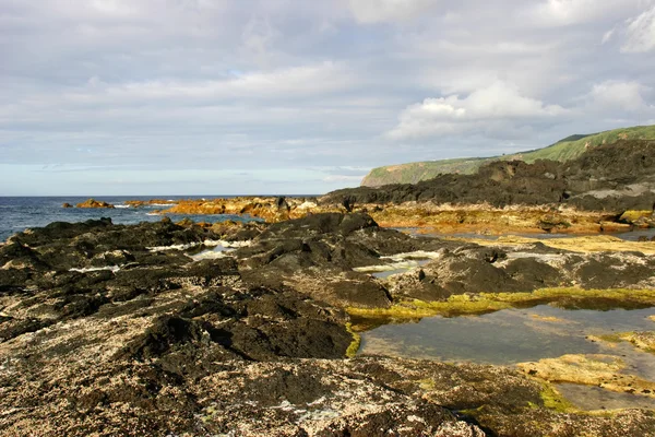 Kust Rock Weergave Azoren Eiland — Stockfoto