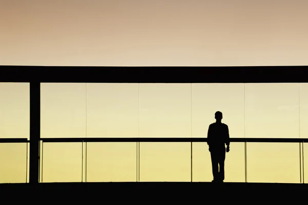 Worker Modern Building Silhouette — Stock Photo, Image