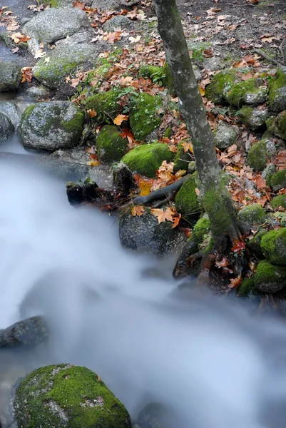 在一条小河在秋天时间长时间曝光 — 图库照片