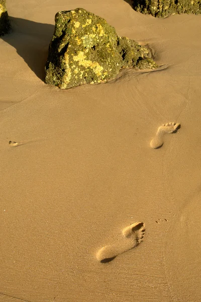 Fotspår Våt Sand Stranden — Stockfoto