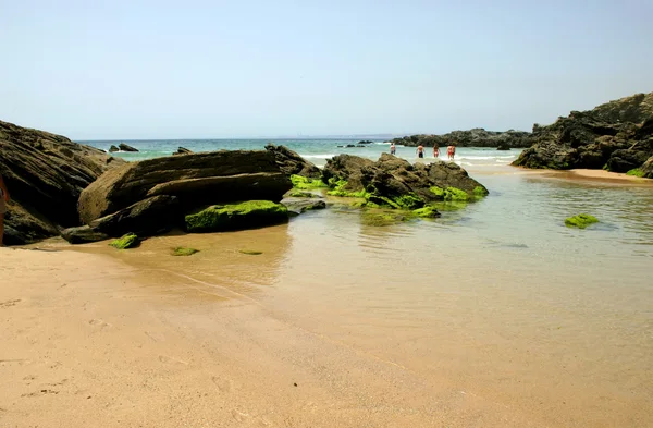在葡萄牙南部的海滩上 — 图库照片