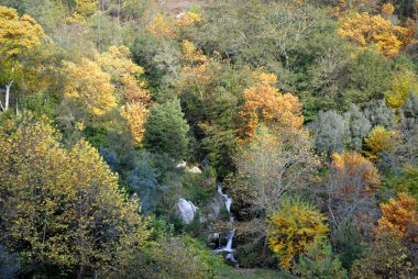 küçük nehir Portekiz Milli Park, sonbahar