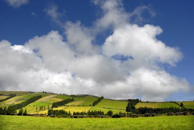 Azores tipik görünümü sao miguel Island