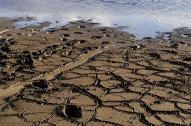 Mud at the lake clipart