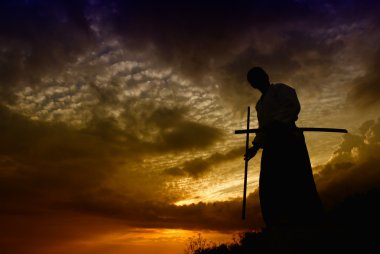 Young aikido man fighter at sunset light clipart