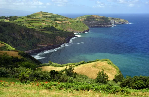 Açores Campos Costeiros Ilha São Miguel — Fotografia de Stock
