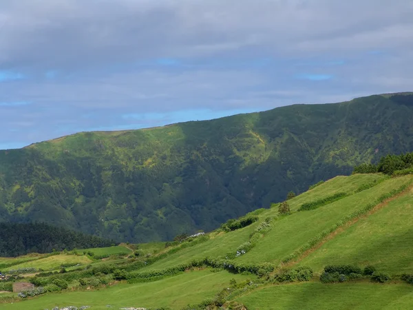 Verde Azores Montañas — Foto de Stock