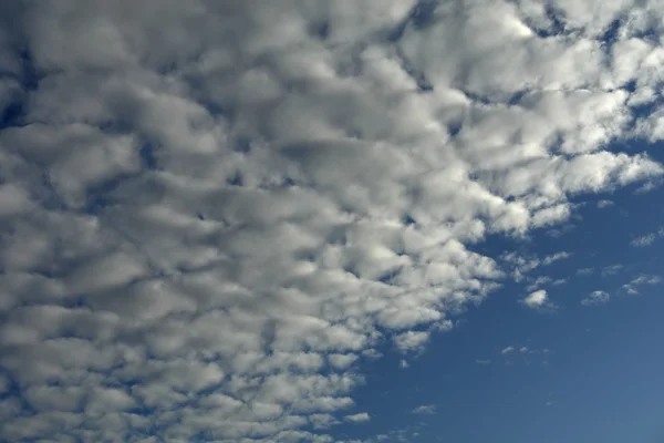 青い空で抽象的な白い雲 — ストック写真