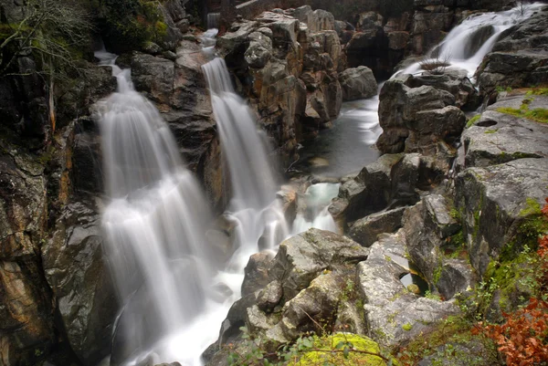 River Waterfall Portuguese National Park — Stock Photo, Image