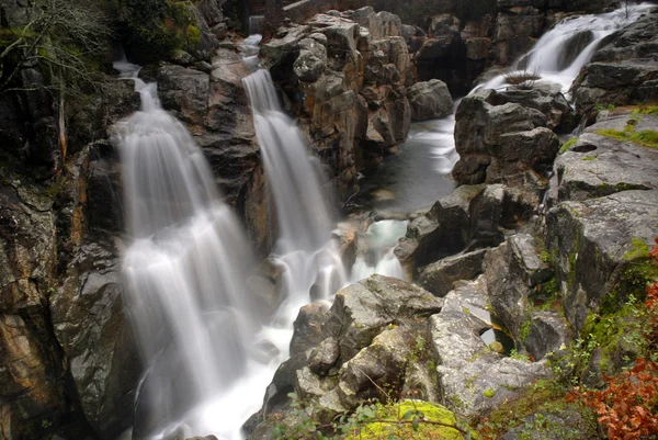 stock image river waterfall in the portuguese national park