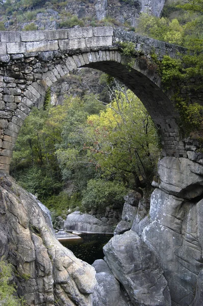 Puente Portugués Antiguo — Foto de Stock